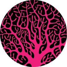 Red Coral Universe