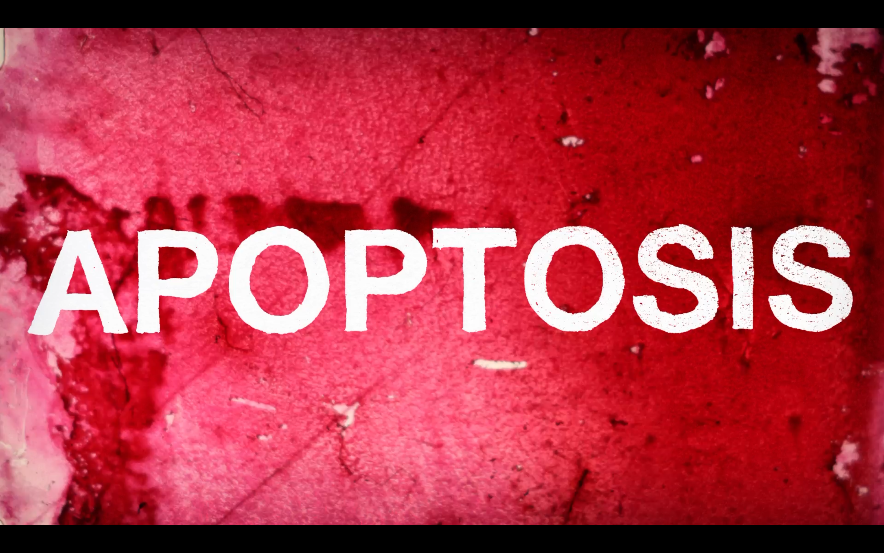 Apoptosis — official poster