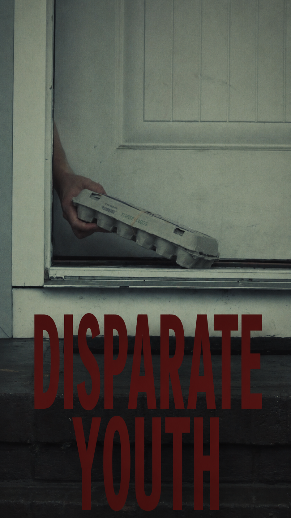 Disparate Youth official poster