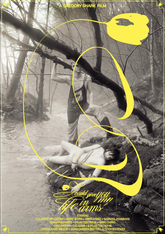 I Could Give You My Life in Arms — official poster