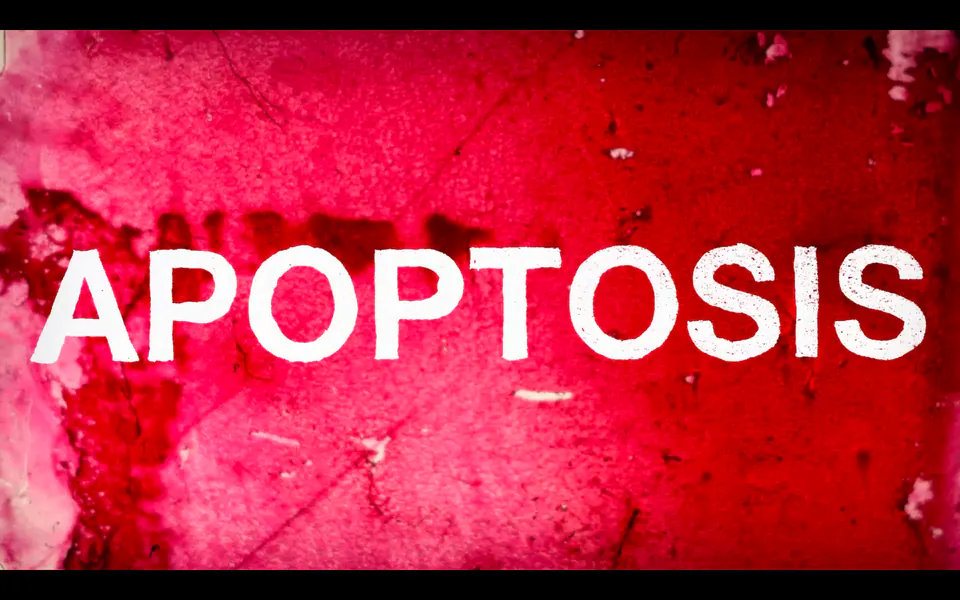 Apoptosis — official poster