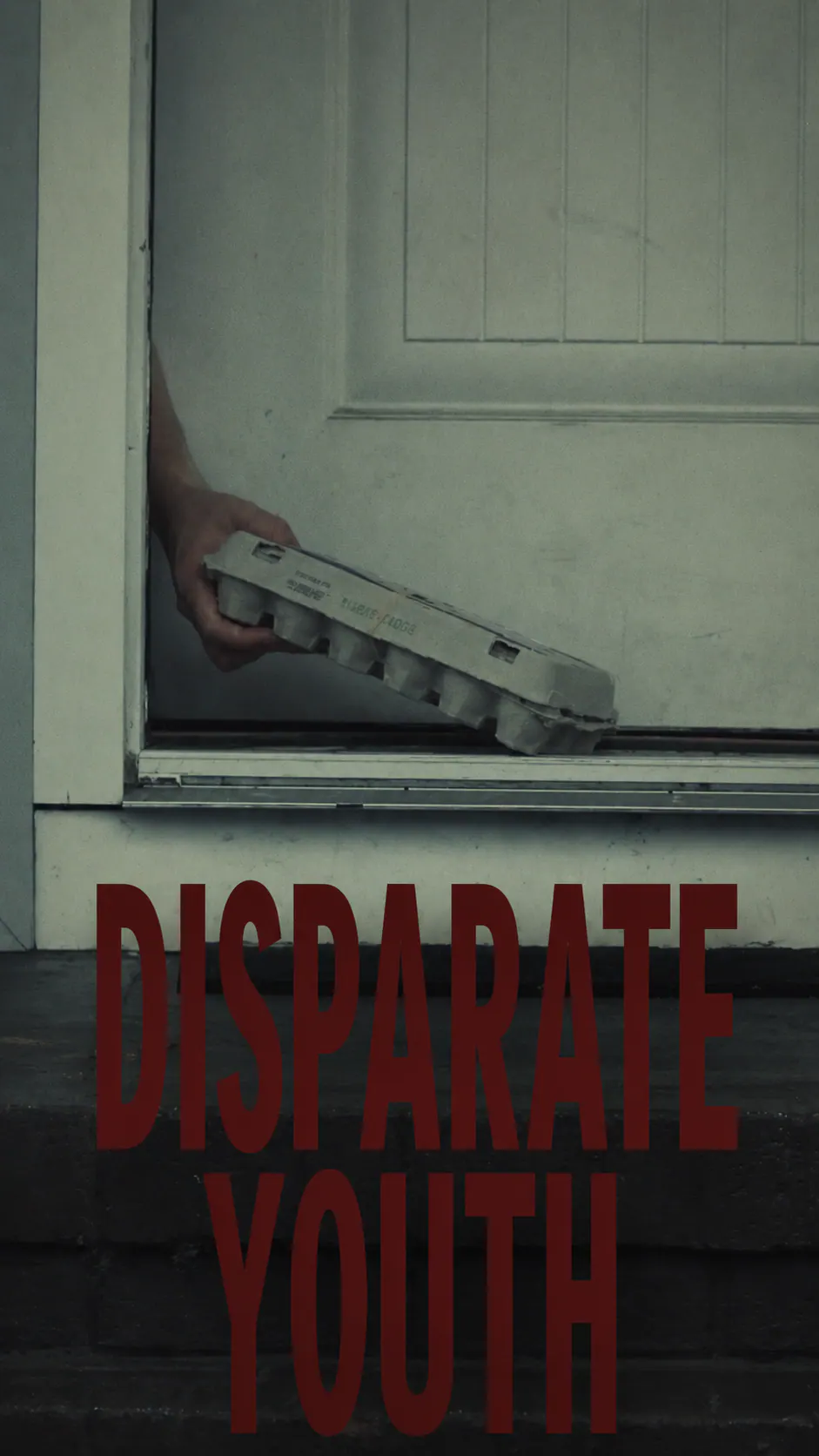 Disparate Youth official poster
