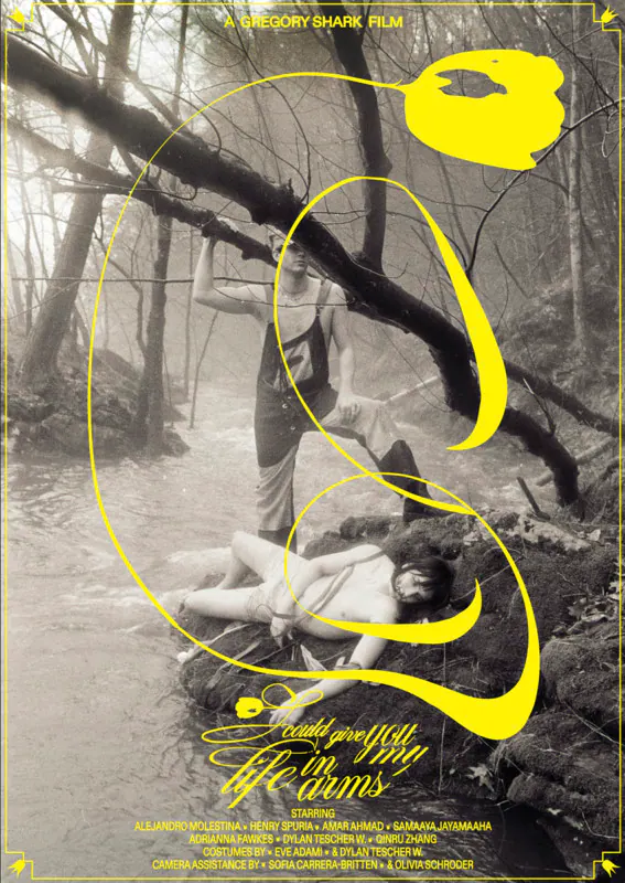 I Could Give You My Life in Arms — official poster