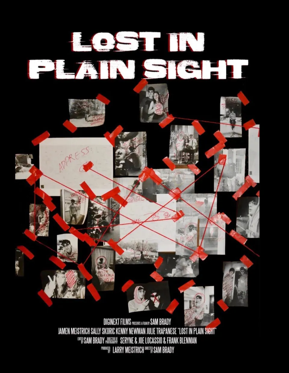 Lost in Plain Sight — official poster
