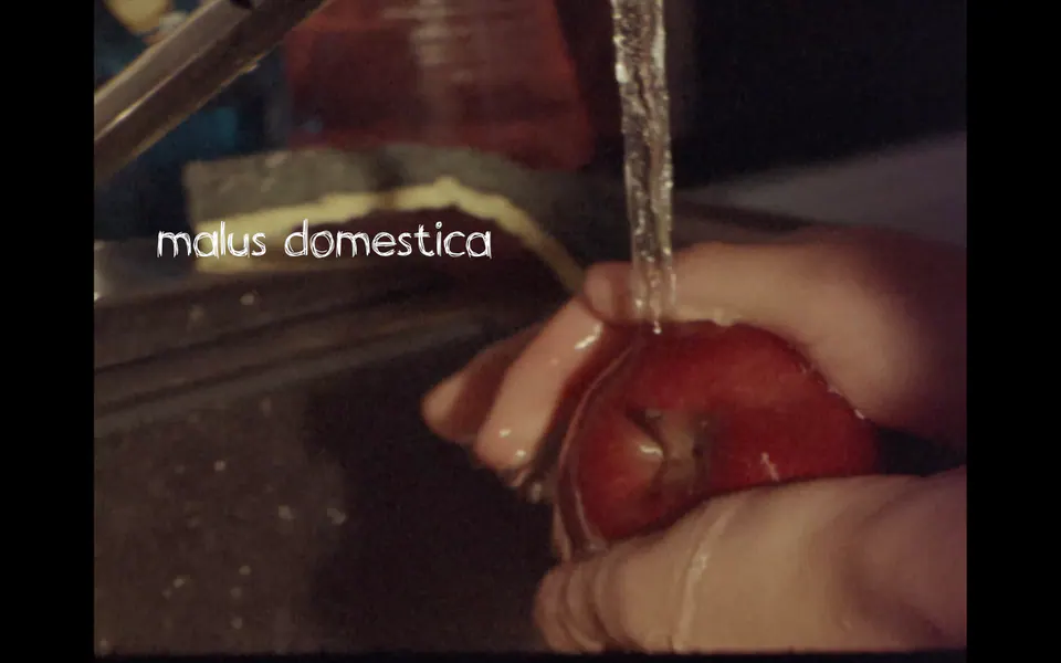 Malus Domestica — official poster