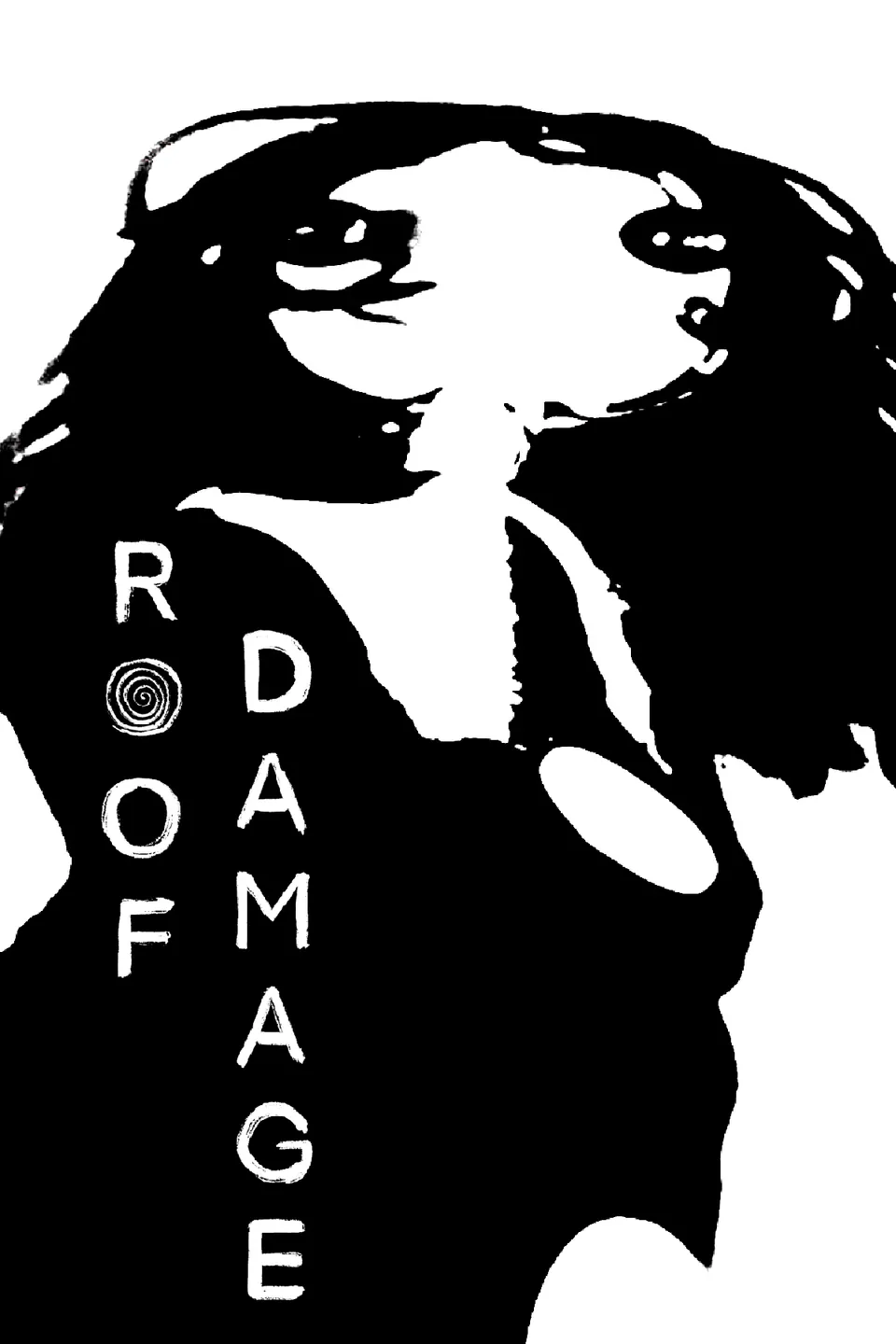 Roof Damage — official poster