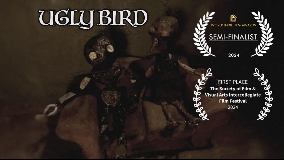 Ugly Bird — official poster